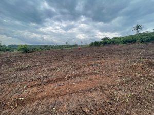 Mayor Chinedu Ekeke inspecting land clearing