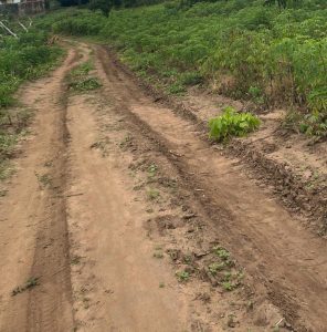Farm roads in Isuikwuato